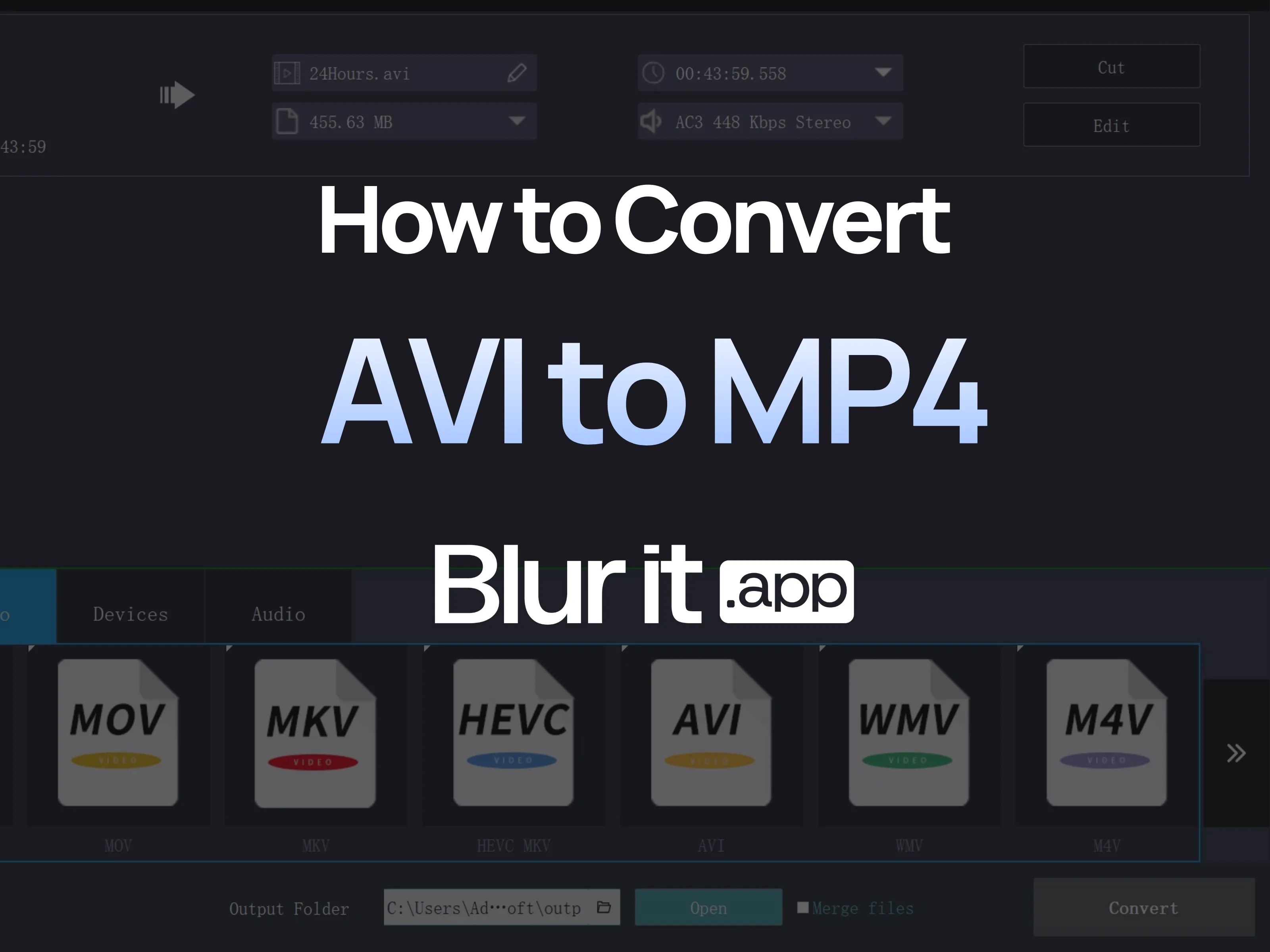 Guide pour convertir une vidéo AVI en MP4 avec YouBlur.com