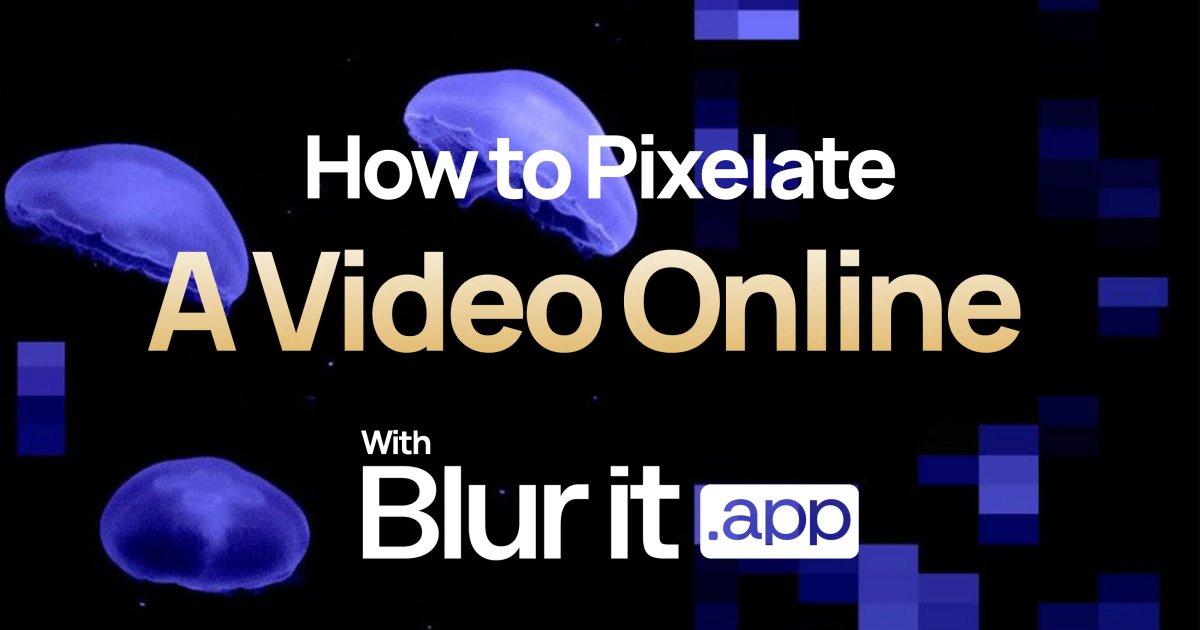 Aperçu : pixelliser une vidéo en ligne
